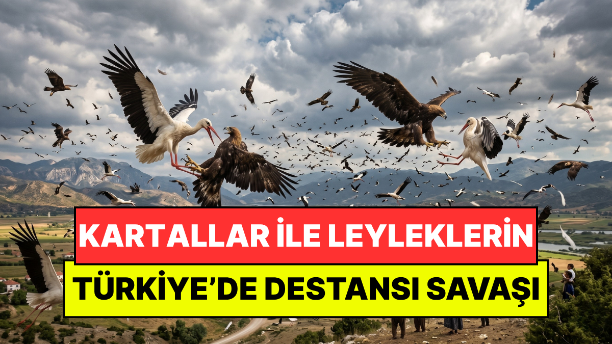 Türkiye Tarihinin En Garip Olayı: Kartallar ile Leyleklerin Günlerce Süren Savaşı