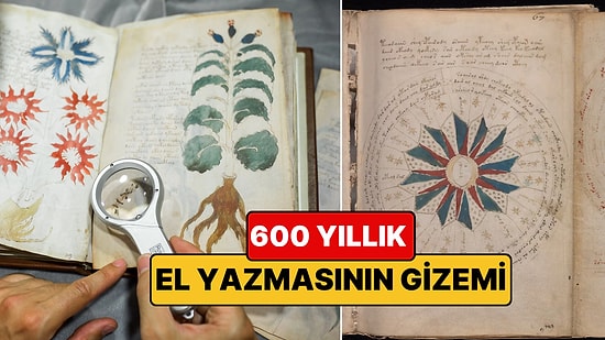 600 Yıldır Hiçbir Kriptografın Çözemediği Kitap: Voynich El Yazması Neden Çözülemiyor?