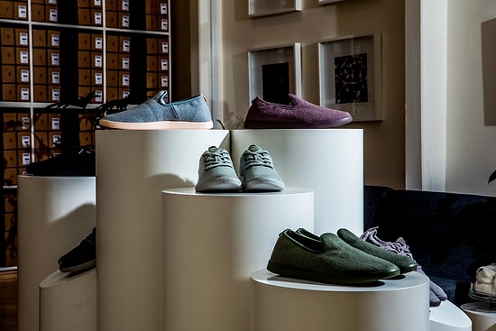 Shoe Industry Giant Shifts Focus to AI as Company Shares Reach New Heights