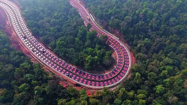 Ekolojik dengeyi korumak amacıyla karayolu üzerine kapsamlı bir güvenlik ağı kuruluyor