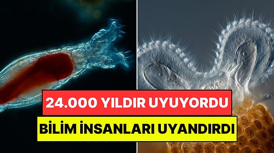 Bilim Dünyası Onu Konuşuyor: 24.000 Yıl Donmuş Halde Bekleyen Canlı Hayata Döndürüldü