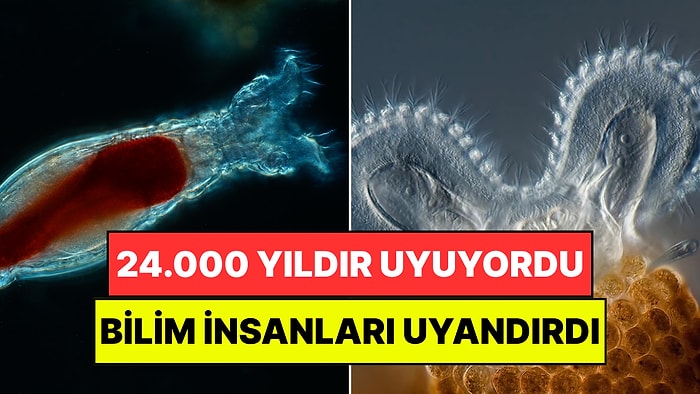 Bilim Dünyası Onu Konuşuyor: 24.000 Yıl Donmuş Halde Bekleyen Canlı Hayata Döndürüldü