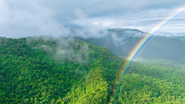 Gökkuşağı Neden Yay Şeklinde Görünür, Tam Daire Değil?