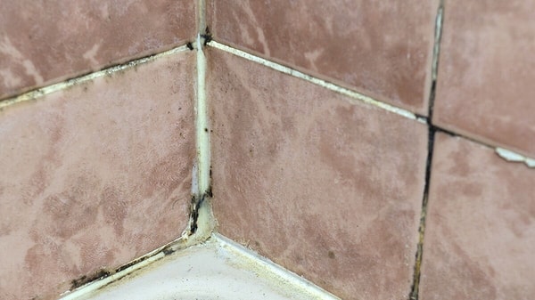 Fayans aralarındaki siyah lekeler neden bu kadar hızlı oluşuyor ve kalıcı hale geliyor?