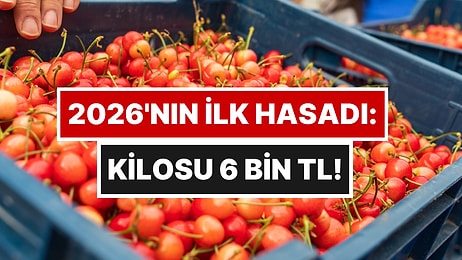 Yılın İlk Hasadı Pazara İndi, Kilosu Gram Altınla Yarışıyor: Bu Yıl Don Vurmadı, Bereket Fışkırdı