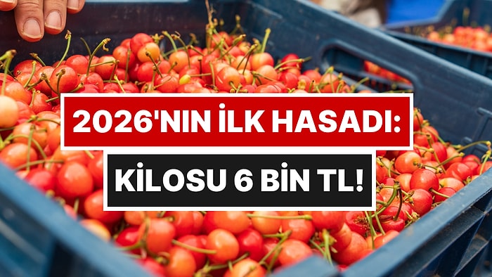 Manisa'da Yılın İlk Hasadı Pazara İndi, Kilosu Gram Altınla Yarışıyor