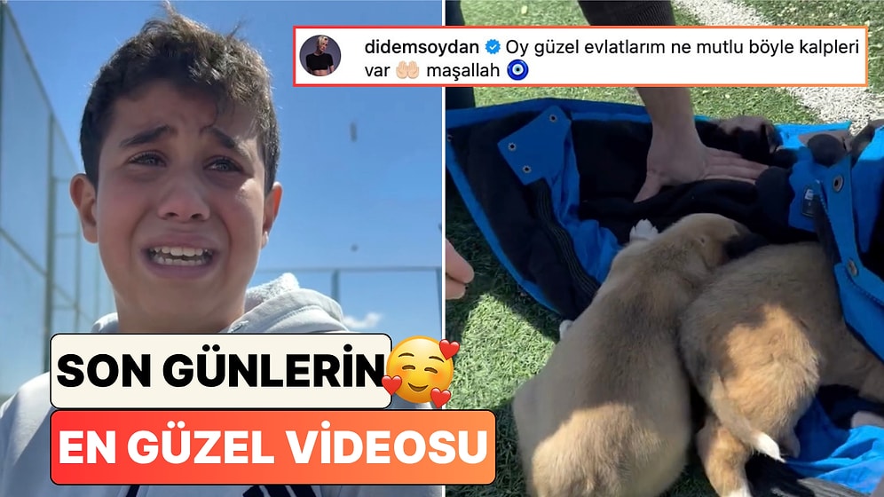 Şiddete Uğrayan Köpekleri Monta Sarıp Gözyaşlarıyla Öğretmenlerine Götüren Minikler Umutlarınızı Yeşertecek