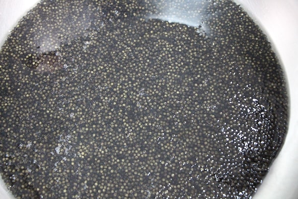 Programa katılan AK Parti Amasya Milletvekili Haluk İpek ise Mersin balığının Tuna Nehri'nde yok olmaya başladığına dikkat çekti.