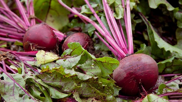 Karaciğerin En Yakın Dostu: Detoks Etkisi