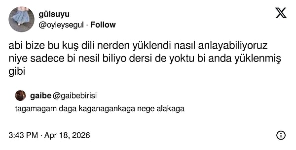 Polyglot gibi hissettiriyordu o dönem.