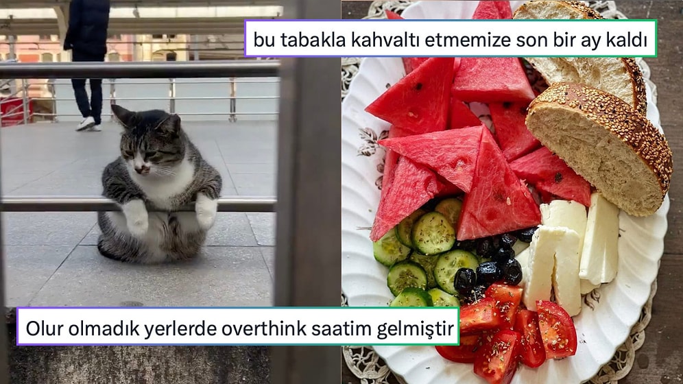 İmkanlar Dahilinde Kaliteli Yaşamaktan Yaza Gün Sayana Son 24 Saatin Viral Tweetleri