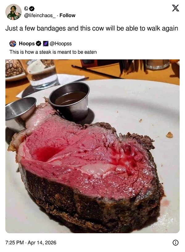 "Sadece birkaç bandaj ve bu inek tekrar yürüyebilir."