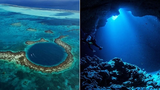 There Are Living Creatures Deep Within the Mariana Trench!