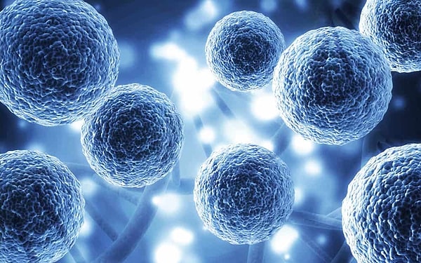 The BioBricks Standard and Drew Endy's Vision