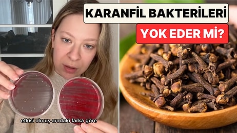Genetik Mühendisi Dilara Sarı Denedi: Karanfil Gerçekten Bakterileri Öldürüyor mu?