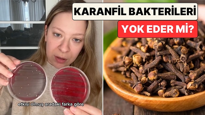 Genetik Mühendisi Dilara Sarı Denedi: Karanfil Gerçekten Bakterileri Öldürüyor mu?