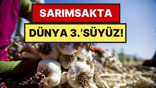 Dünyanın En İyi 17 Sarımsağı Açıklandı: Türkiye İlk 5’e Damga Vurdu