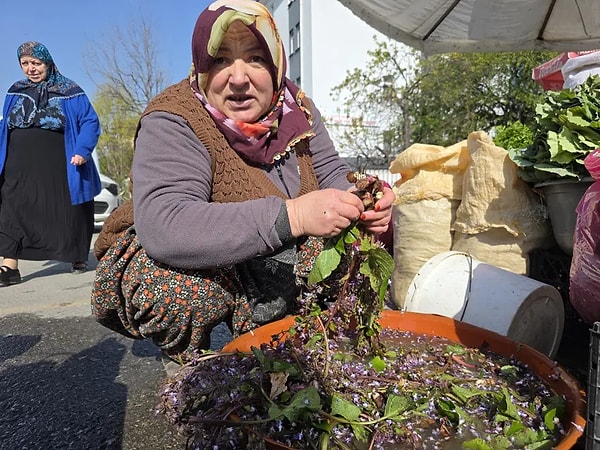 Düzce’nin yüksek kesimlerinde ve sarp yamaçlarında baharın gelişiyle birlikte kendiliğinden yetişen kaldirik otu, yerel pazarlarda yeniden tezgâhlardaki yerini aldı.