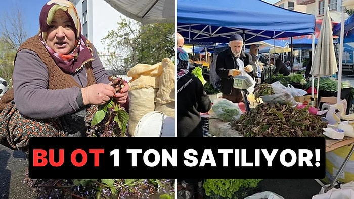 Kendiliğinden Yetişiyor, Şifa Deposu Olarak Görülüyor: Türkiye'de 1 Ton Satılıyor