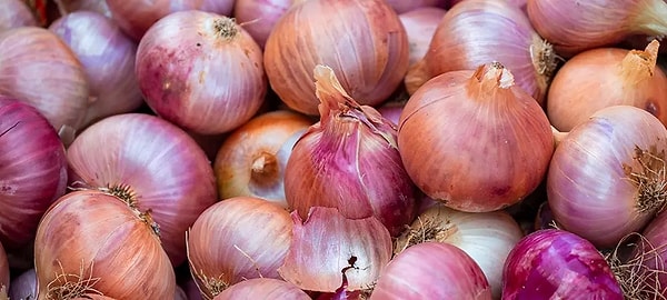 2. 🧅 Soğan — Küflenir ve Çürür