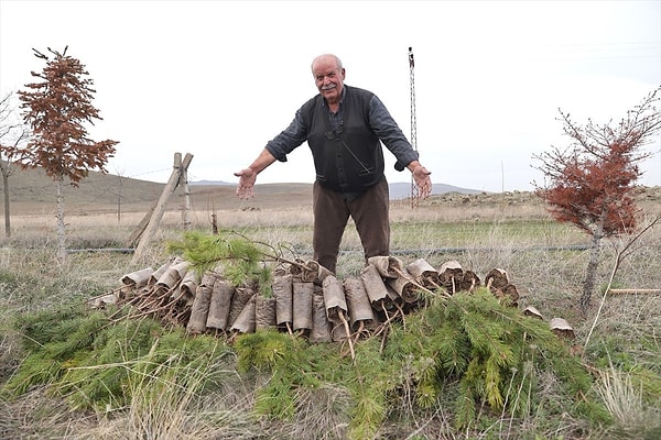 Emekli vatandaş gününün büyük bir kısmını fidanların bakımı ve sulama işlerine ayırıyor