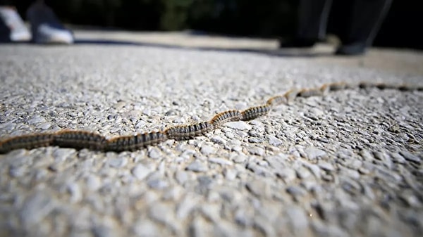 Ciddi risk barındırıyor.