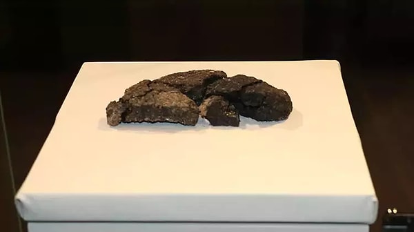 Bilim ekmeği nasıl inceledi?