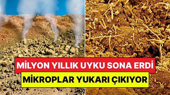 Dünyanın Altında Hareket Başladı: Milyon Yıllık Gizemli Mikroplar Yukarı Çıkıyor