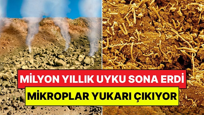 Dünyanın Altında Hareket Başladı: Milyon Yıllık Gizemli Mikroplar Yukarı Çıkıyor