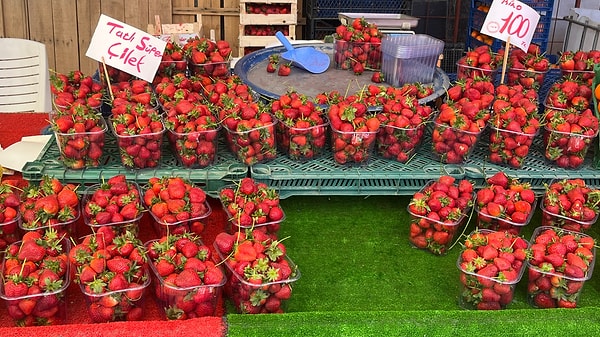 Kavun ve Karpuz: Tezgahlarda yeni yerini alan karpuz yoğun ilgi görürken, kavun fiyatlarının yüksekliği nedeniyle vatandaşlar şimdilik bu ürünü daha az tercih ediyor.