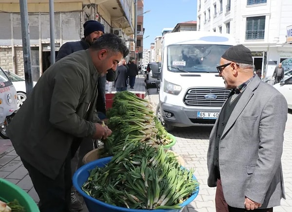 Sarp yamaçlarda, zorlu hava koşullarına rağmen toplanan bu otlar, kırsal bölgelerde yaşayan aileler için kritik bir ekonomik değer taşıyor.