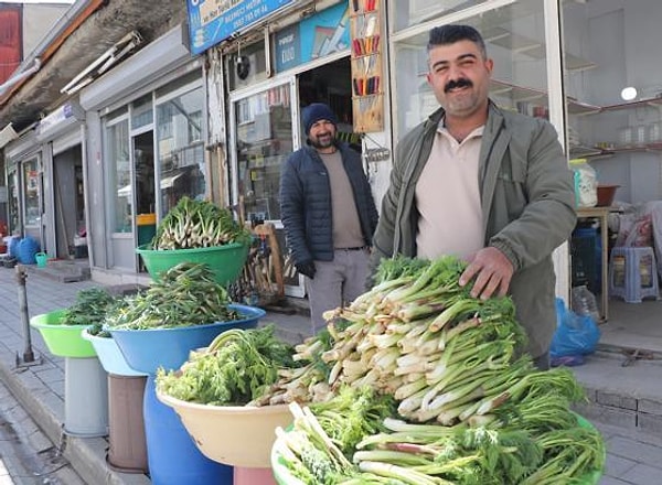 Sadece birer bitki değil, aynı zamanda bir kültür mirası olan bu otların önümüzdeki günlerde çeşitlenerek artması bekleniyor.