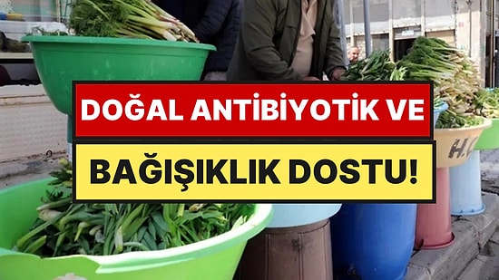 Dağda Bedava Yetişiyor: Toplayıp Kilosunu 500 TL’ye Satıyorlar
