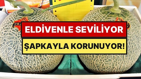 Dünyanın En Pahalı Meyvesi İlan Edildi, Masaj Yaparak Yetiştiriliyor