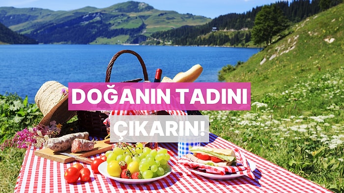 Hafta Sonu Pikniğinde Arka Planda Çalması Gereken "Chill" Liste