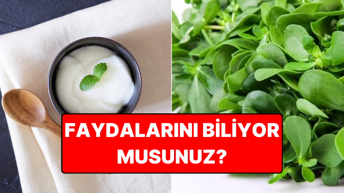 Vücudu Baştan Aşağı Yeniliyor: Yoğurt ve Semizotu Birleşiminin Bilinmeyen Faydası