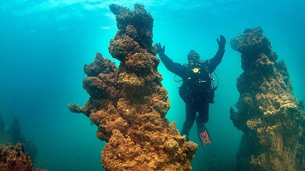 Oluşumları binlerce yıl sürdü, boyları ise 40 metreyi buluyor.