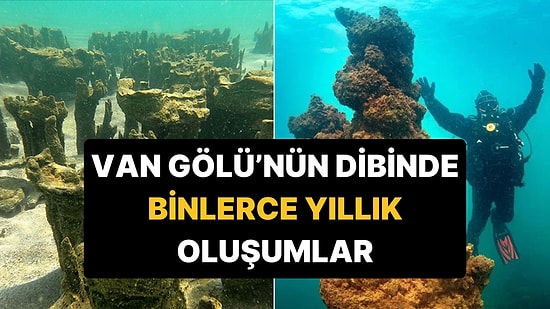 Hepsi Binlerce Yıllık: Van Gölü'nde Boyları 40 Metreyi Bulan Oluşumlar İçin Guinness Başvurusu!