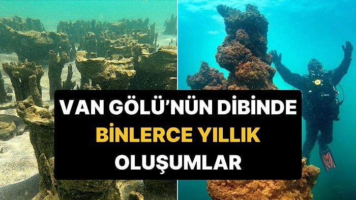 Hepsi Binlerce Yıllık: Van Gölü'nde Boyları 40 Metreyi Bulan Oluşumlar İçin Guinness Başvurusu!