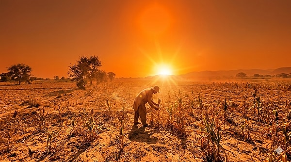 Aşırı sıcaklar nedeniyle 1 milyar kişi tehlikede.