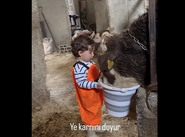 Hepsiyle tek tek ilgilendi.