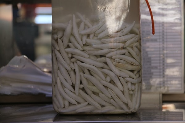 Küresel Talep Ve İhracat Potansiyeli Kilogram Fiyatlarını Zirveye Taşıyor