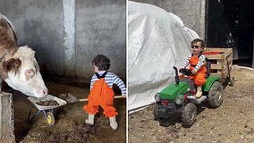 Little Farmer for a Day: Child Manages Farm with Custom Mini Equipment for April 23