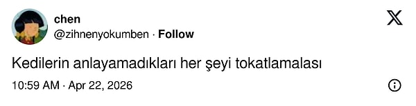 Nasıl kedilere kaptırdık?