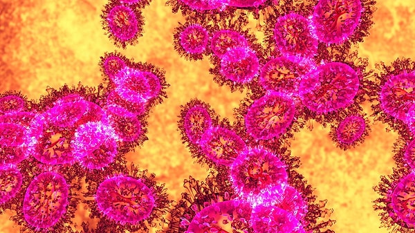 Virüs yüzeye konuyor, nano dikenler tarafından parçalanıyor