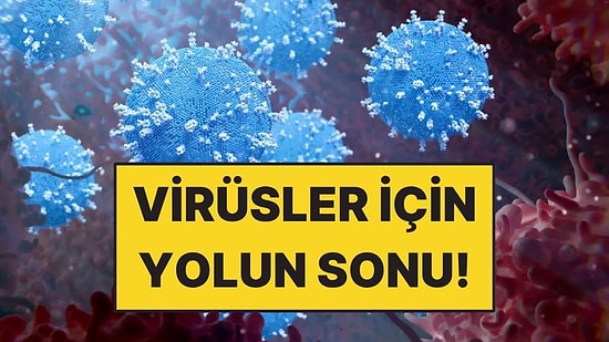 Bilim İnsanları Virüsleri Parçalayan Yeni Yöntem Geliştirdi