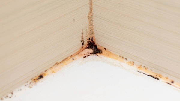 Karbonatla silikon temizliği nasıl yapılır?