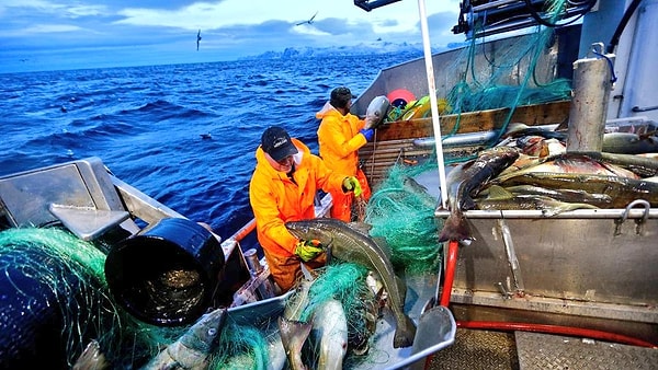 Norveç'in denizcilik sektöründeki devlerinden R2A Bemaning AS, balıkçı gemilerinde çalışacak "güverte personeli" (deckhand) alımı yapacağını duyurdu.