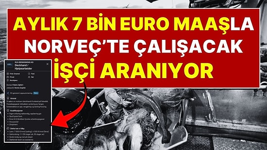 Tecrübe Şartı Yok, Maaş Dudak Uçuklatıyor: Avrupa'da Aylık 7 Bin Euro'ya İşçi Aranıyor! 1 Ay İş 1 Ay Tatil Var