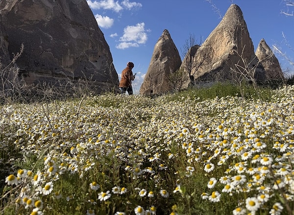 Baharın Gelişiyle Birlikte Vadilerde Görsel Bir Şölen Yaşanıyor